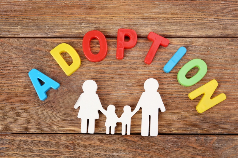 Understanding Agency Adoption In Virginia